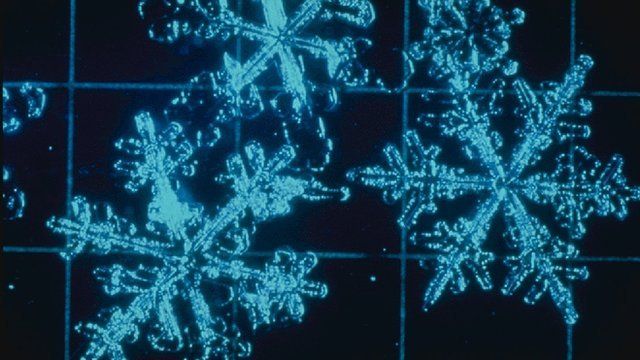 Snow crystal micrograph (c) SLF