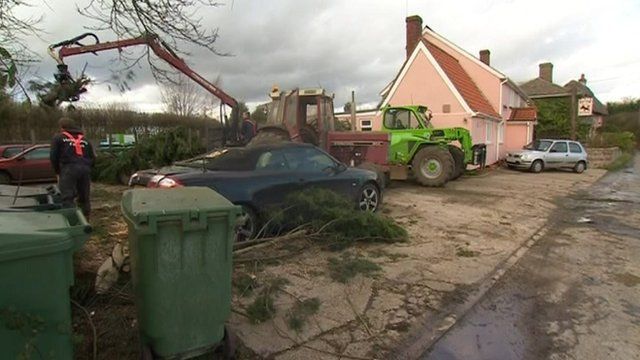 Tree on cars in pub Essex pub car park
