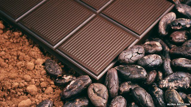 Chocolate, cocoa beans and cocoa powder