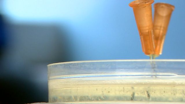 Petri dish