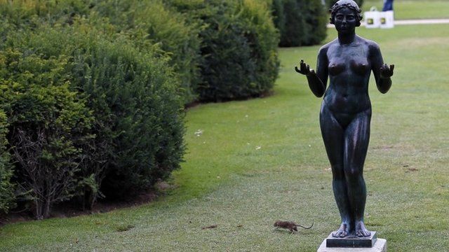 A rat runs next to a Maillol Statue in the Tuileries gardens of the Louvre Muesum in Paris
