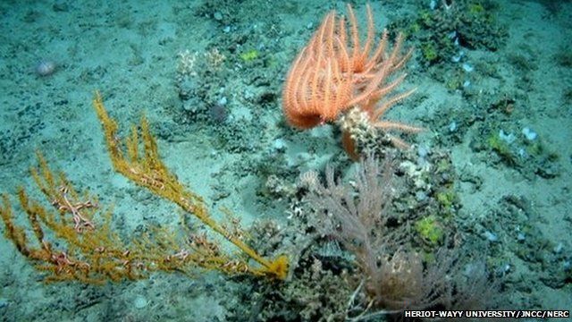 Hebrides Terrace Seamount