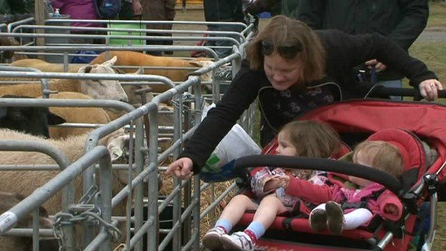 Fèill Àiteachais an Eilein Duibh
