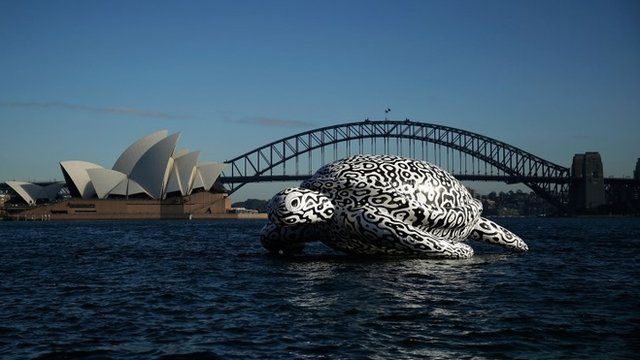 largest cruise ship turtle