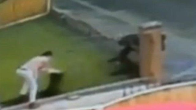 CCTV footage of a lawn theft