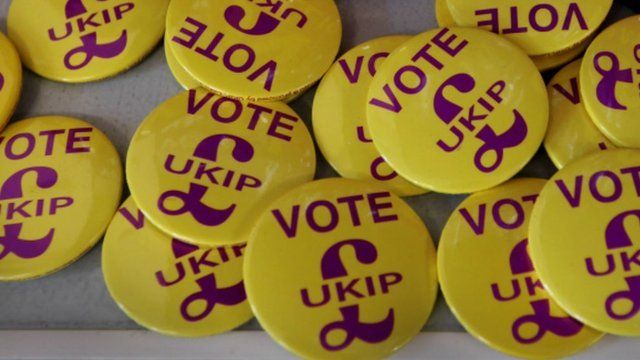 UKIP badges