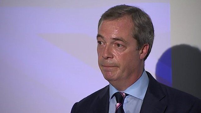 Nigel Farage MEP