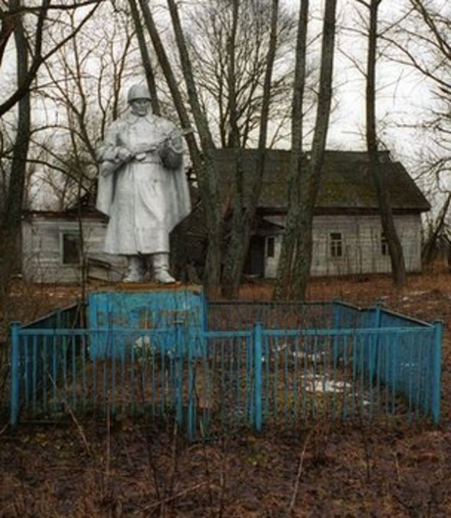 Brown bears return to Chernobyl after a century away