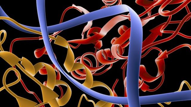 Scientists make enzymes from scratch