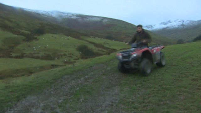 fferm mynydd