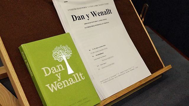 Dan y Wenallt
