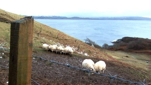 Caoraich air croit ann an Slèite