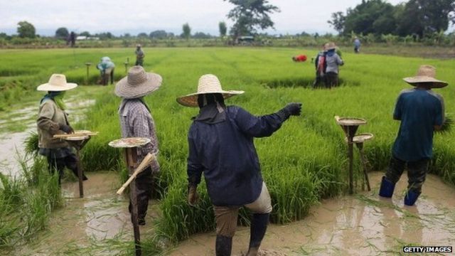 Thai ex-PM Yingluck indicted for negligence over rice subsidy scheme