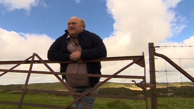 Dwyn defaid ar gynnydd
