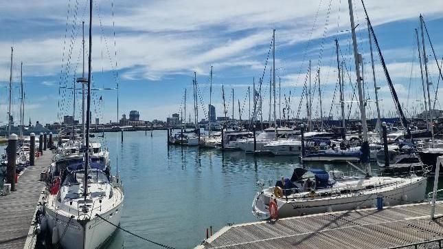 Gosport marina with at least eight boats at three wooden pontoons under a blue sky with multiple buildings on the horizon