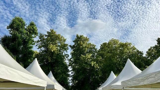 tents below trees and blue skies 