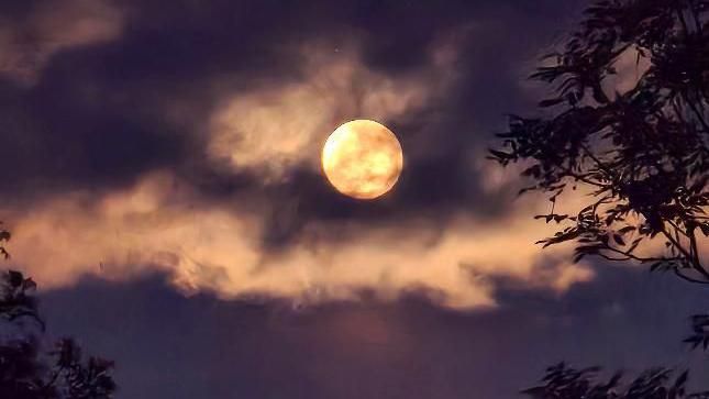 The moon behind clouds at night 