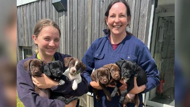 Two members of staff holding armfuls of six small puppies, ranging from brown to black to white