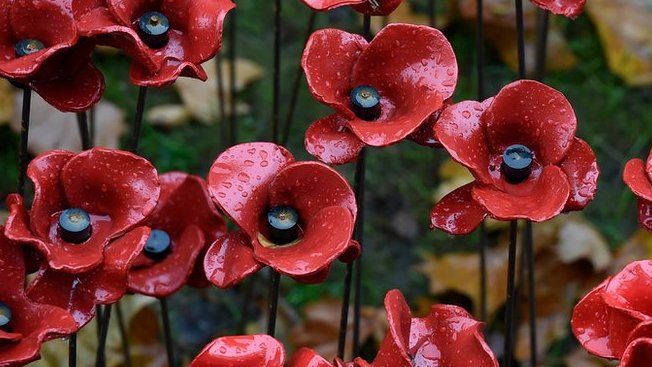 Fallen leaves are seen on ceramic poppies