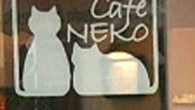 Café para gatos en Viena