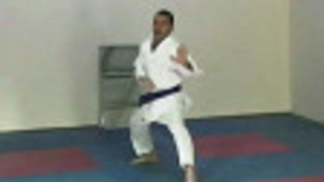 Karateist