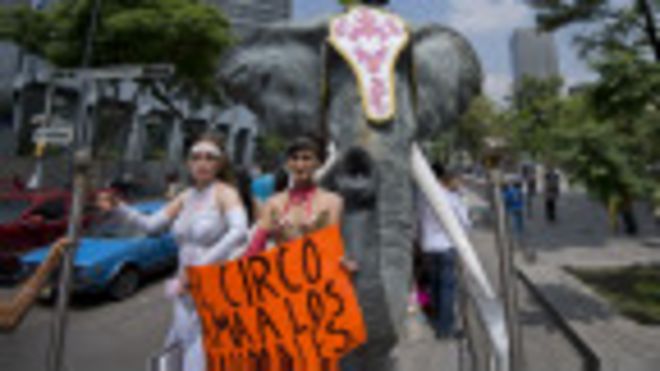 La prohibición de animales en circos ha generado movilizaciones de empresarios y empleados circenses.