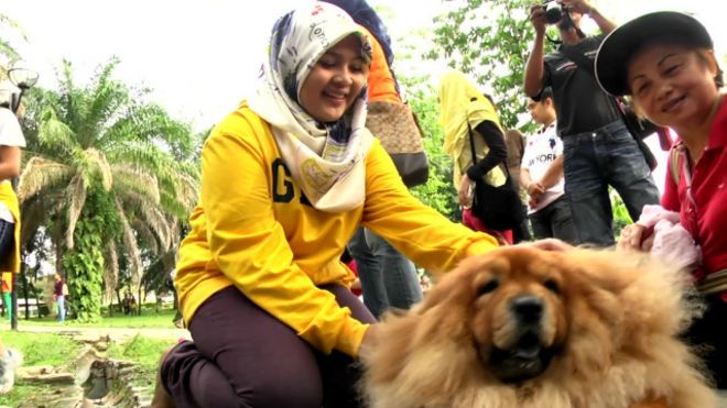Một phụ nữ Hồi giáo Malaysia đang vuốt ve một con chó