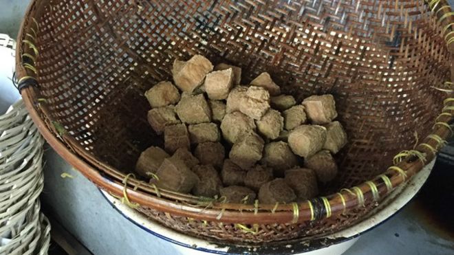 tahu