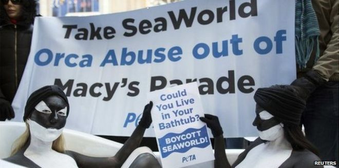 Протестующие SeaWorld