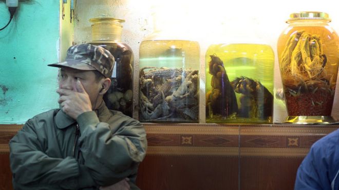 Một nhà hàng bày các lọ rượu ngâm chân gấn, kỳ nhông tại Hà Nội