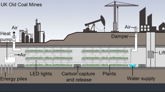 Изображение шахты и туннелей для растениеводства