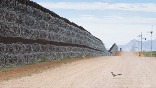 Un correcaminos se acerca al muro fronterizo en Naco, Arizona, EE.UU.