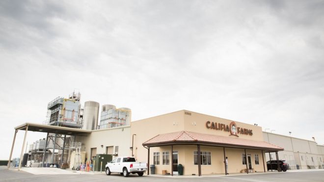 Завод Califia в Бейкерсфилде, Калифорния