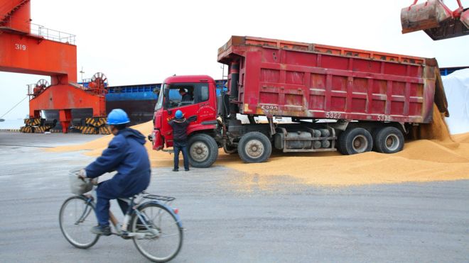 A worker (L) rides a bicycle as other workers load imported soybeans onto a truck at a port in Nantong in China's eastern Jiangsu province on April 4, 2018