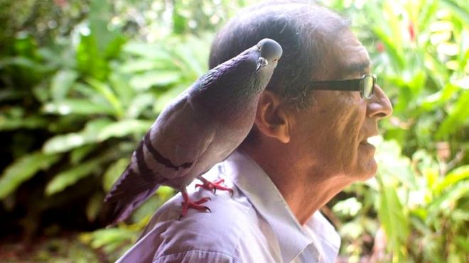 Imagen de conservacionista Víctor Zambrano con paloma en el hombro.