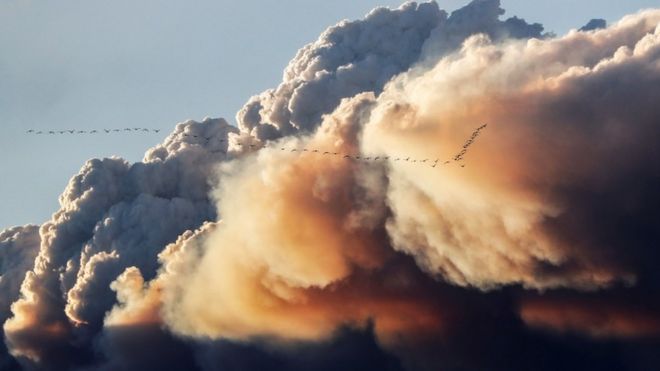 Облако дыма образовалось в результате пожара в Канаде