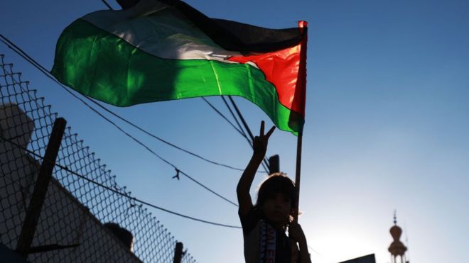 A Palestinian child gestures while holding a Palestinian flag at a protest against Israel in the Gaza Strip (2 July 2020)
