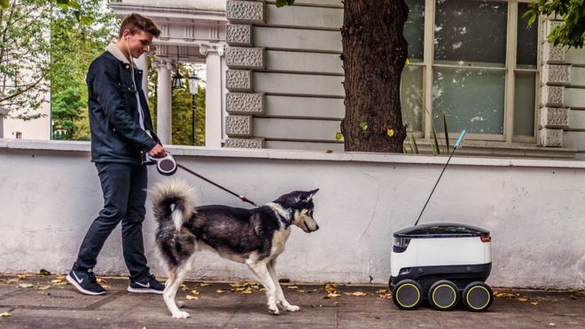 Человек, гуляющий с собакой, сталкивается лицом к лицу с роботом с автоматическим управлением