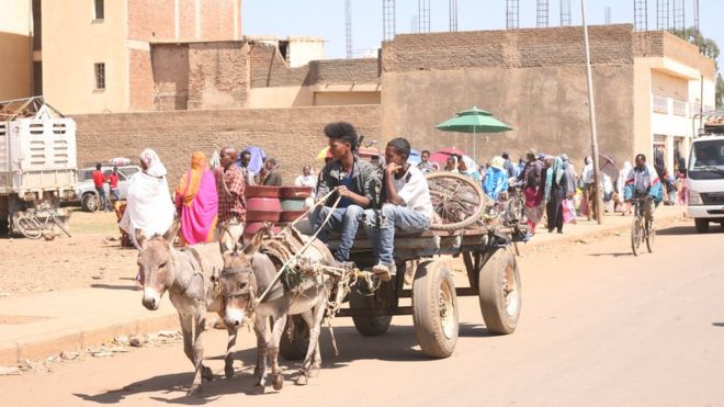 Тележка с ослом на дороге в Асмэре, Эритрея