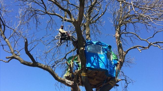 Протестующий в инвалидной коляске привязал высоко дерево