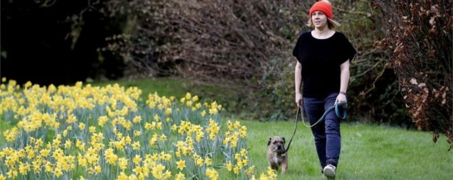 Кэтрин Шарплз и ее собака Игги посетят участок цветущих нарциссов в Мейденхеде, Беркшир, 26 декабря 2015 года
