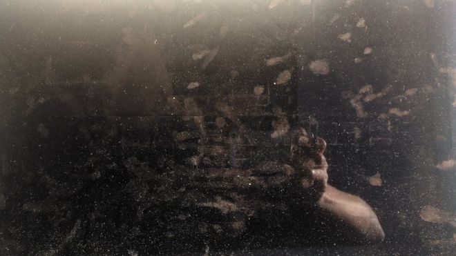 Шарлотта Проджер, SaF05, 2019, одноканальное видео, любезно предоставлено художником; Коппе Астнер, Глазго и Холибуш Гарденс, Лондон