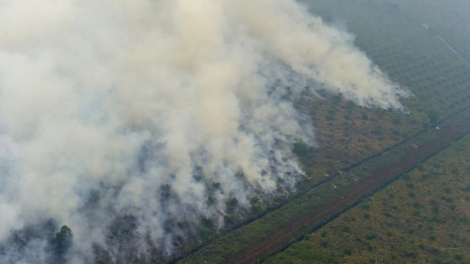 Лесной пожар в индонезийской провинции Риау (26 сентября 2015 г.)