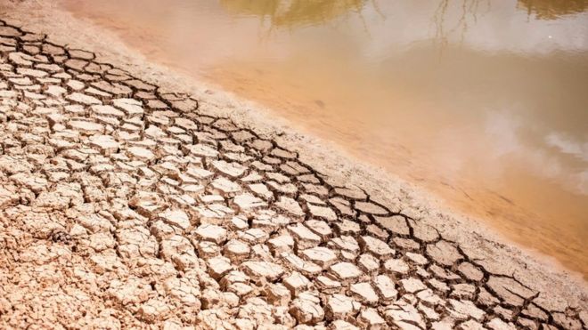 7 марта 2018 года в результате трехлетней засухи на ферме в Пикет-Боберг, Пикетберг, к северу от Кейптауна, изображен высохший берег почти безводной плотины