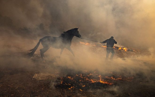 Um homem conduz um cavalo em uma corda através de um campo de fumaça e pequenas chamas