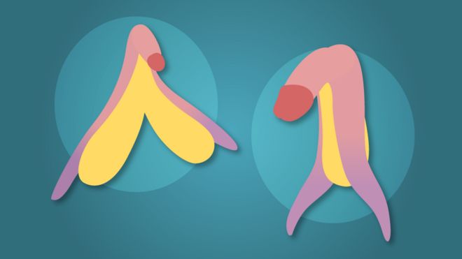 Profitez de levitra - Lisez ces 10 conseils