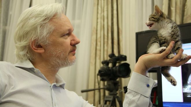 Основатель Wikileaks Джулиан Ассанж держит питомца котенка