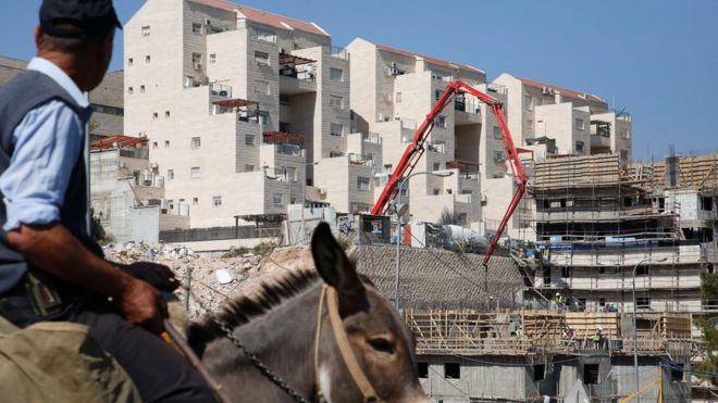 Мужчина проезжает на осле мимо строителей, строящих новые дома в израильском поселении Кирьят-Арба, к востоку от города Хеврон на западном берегу, 24 августа 2017 года