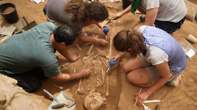 Команда иностранных археологов извлекает скелеты на месте раскопок первого филистимского кладбища, найденного 28 июня 2016 года