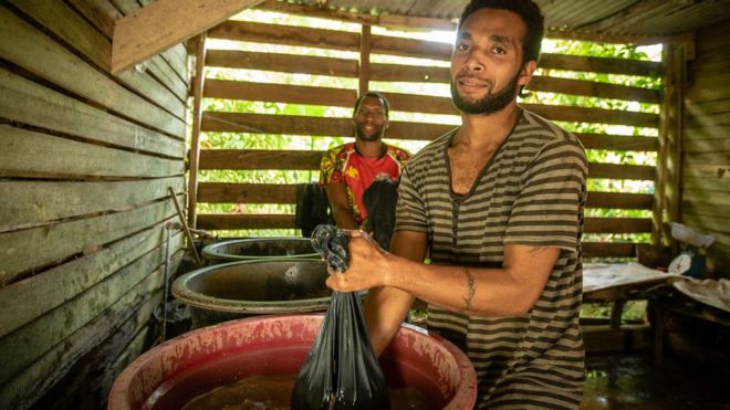 Мужчины Вануату обрабатывают корень кавы